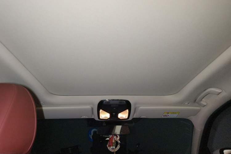 Used BMW 3 Series 2022 325Li M Sport Package Headliner