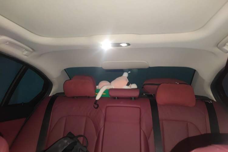 Used BMW 3 Series 2022 325Li M Sport Package Headliner