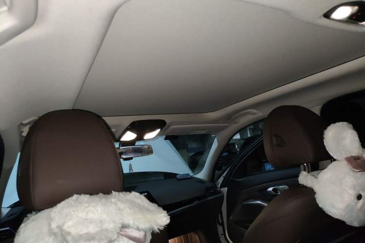 Used BMW 3 Series 2022 320Li M Sport Package Headliner
