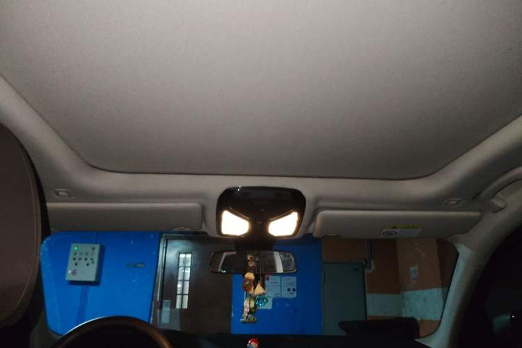 Used BMW 3 Series 2022 325Li M Sport Package Headliner