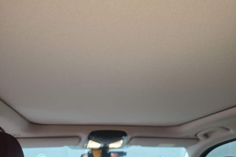 Used BMW 3 Series 2022 325Li M Sport Night Edition Package Headliner