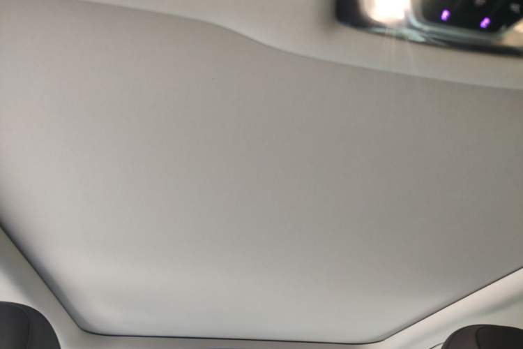Used BMW 3 Series 2022 325Li M Sport Package Headliner