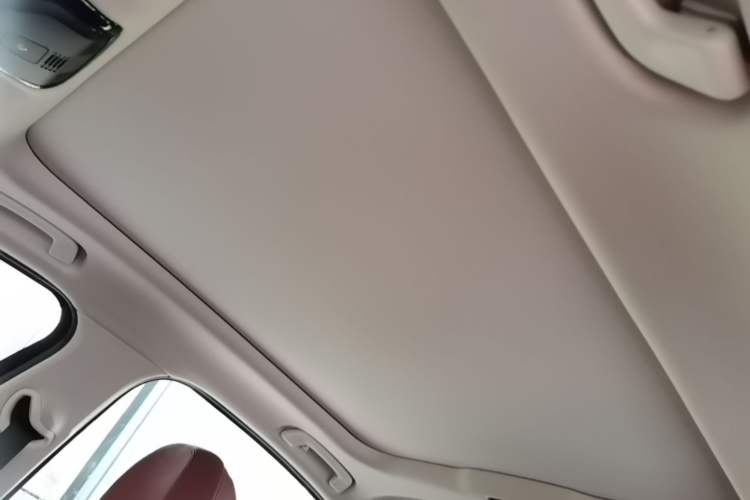 Used BMW 3 Series 2022 320Li M Sport Package Headliner