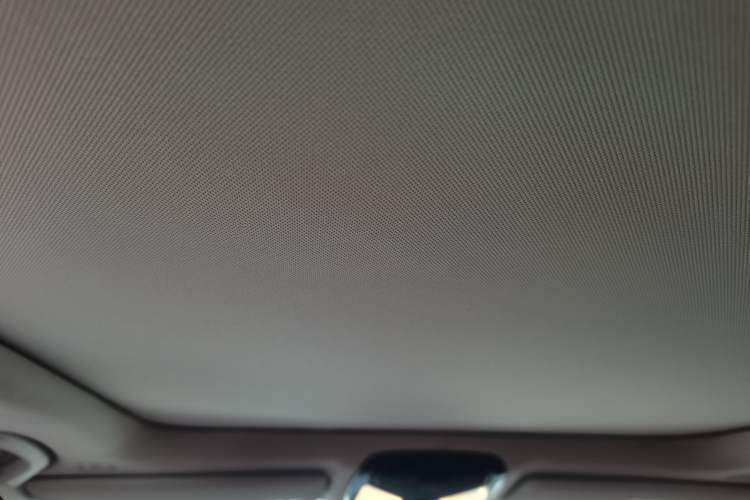 Used BMW 3 Series 2022 325Li M Sport Package Headliner