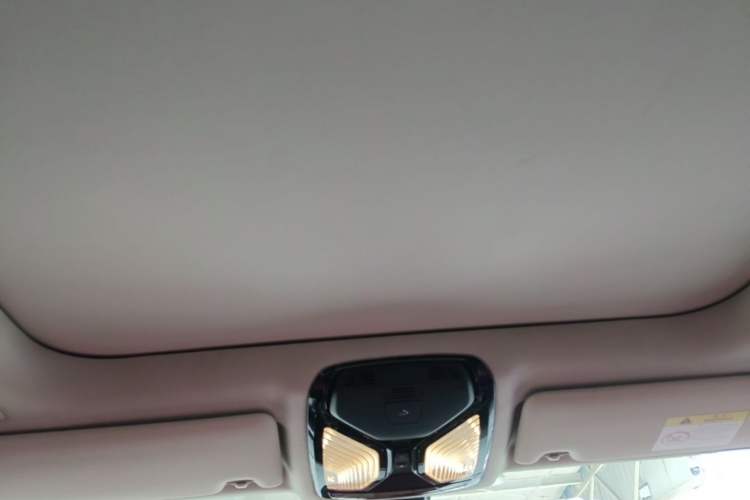 Used BMW 3 Series 2022 320Li M Sport Package Headliner