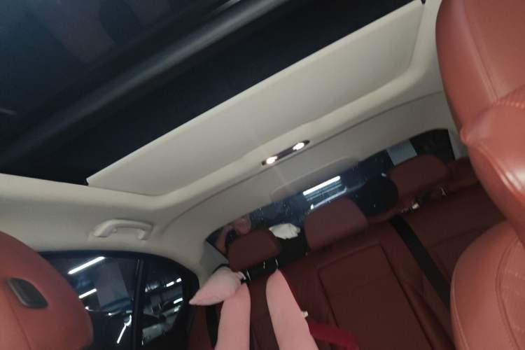 Used BMW 3 Series 2022 Updated 325Li M Sport Package Headliner