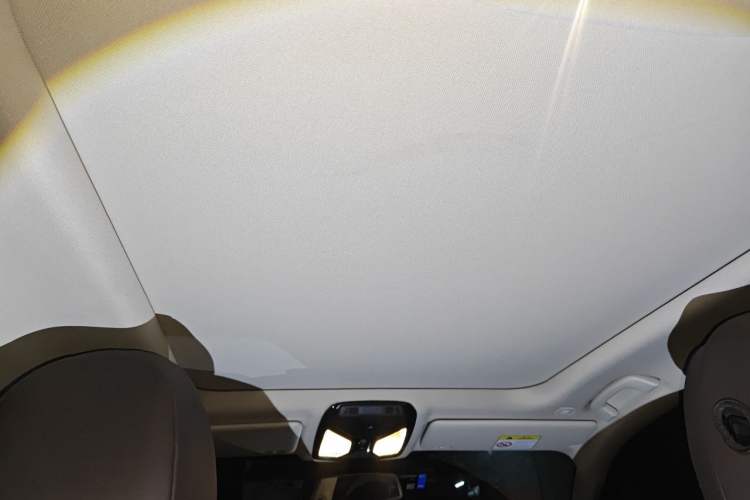 Used BMW 3 Series 2022 320Li M Sport Package Headliner