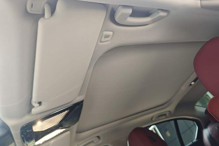 Used BMW 3 Series 2022 325Li M Sport Package Headliner