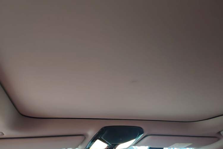 Used BMW 3 Series 2022 325Li M Sport Package Headliner