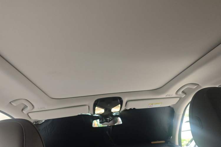 Used BMW 3 Series 2022 325Li M Sport Package Headliner