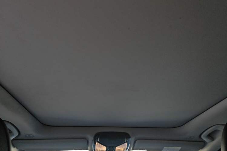Used BMW 3 Series 2022 325Li M Sport Package Headliner