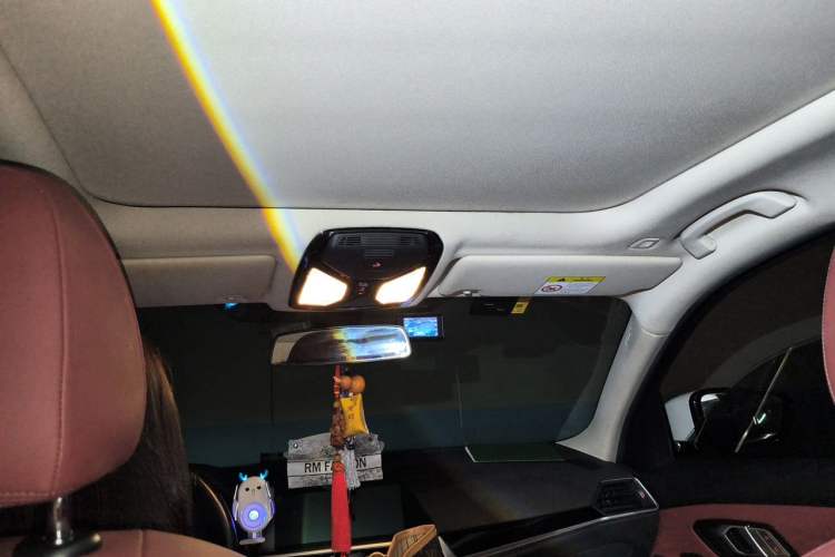 Used BMW 3 Series 2022 320Li M Sport Package Headliner