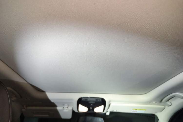 Used BMW 3 Series 2022 320Li M Sport Package Headliner