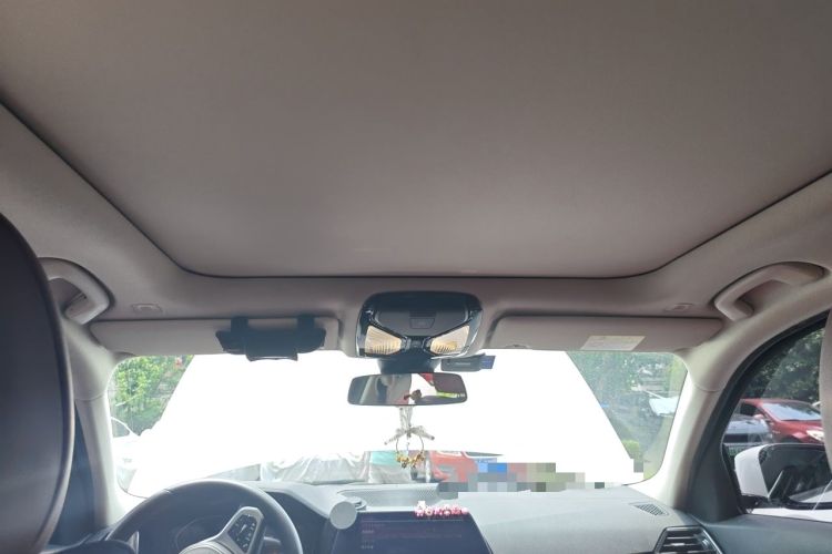 Used BMW 3 Series 2022 325Li M Sport Package Headliner