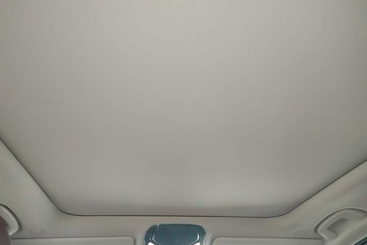 Used BMW 3 Series 2022 325Li M Sport Package Headliner