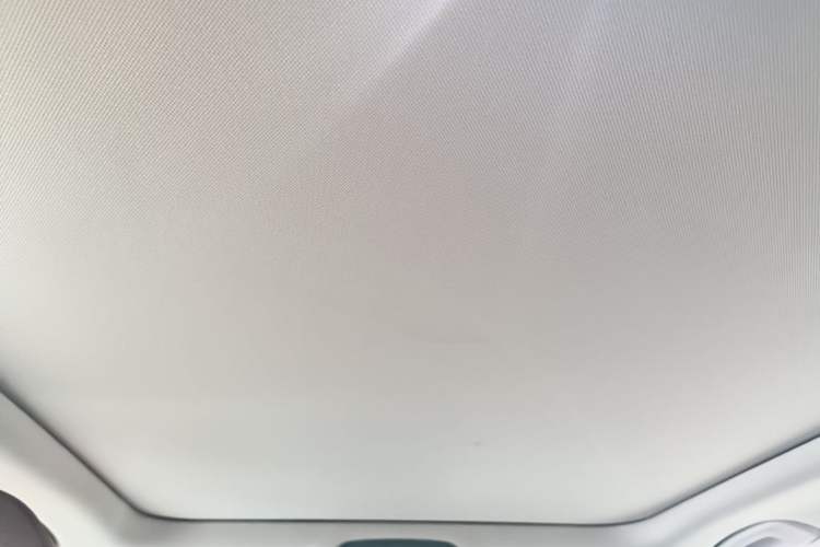 Used BMW 3 Series 2022 Updated 325Li M Sport Package Headliner