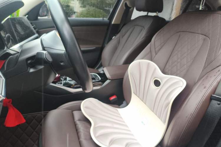 Used BMW 3 Series 2022 320Li M Sport Package Left Front Seat