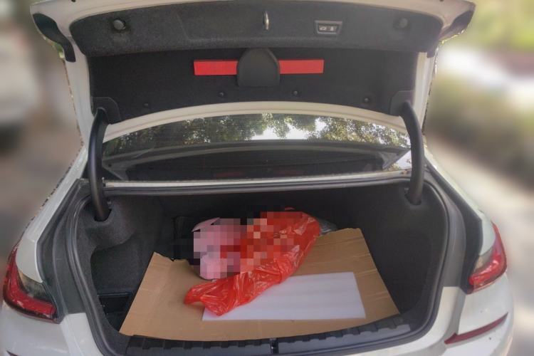 Used BMW 3 Series 2022 325Li M Sport Night Edition Package Trunk