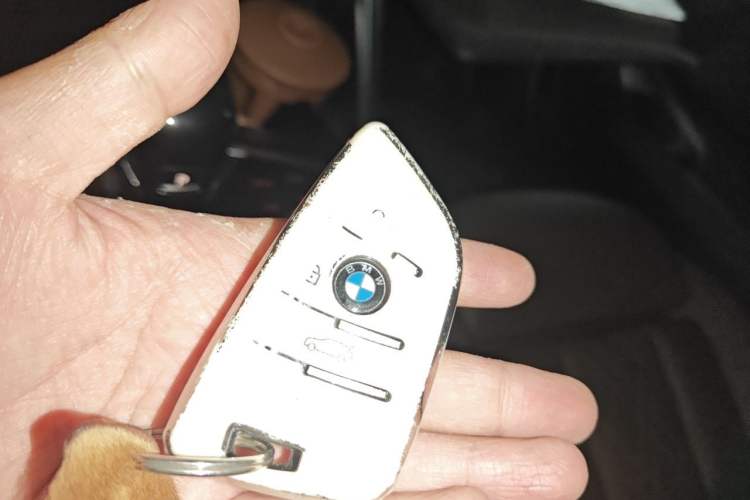 Used BMW 3 Series 2022 320Li M Sport Package Vehicle Key