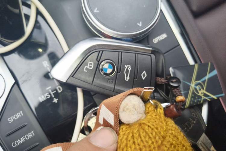 Used BMW 3 Series 2022 320Li M Sport Package Vehicle Key