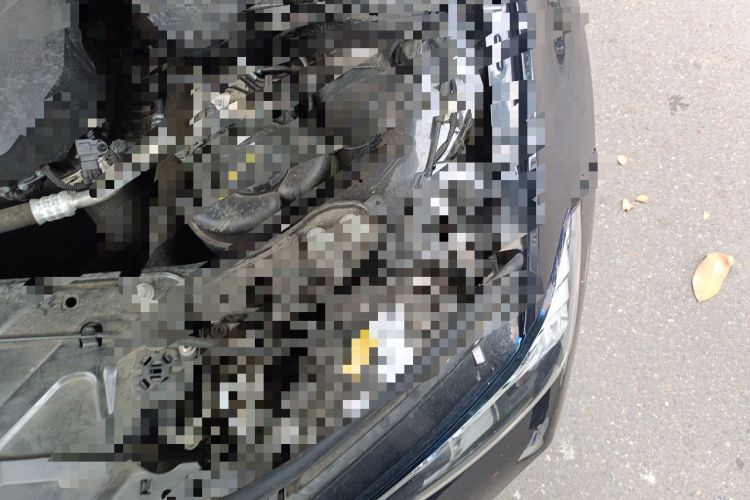 Used BMW 3 Series 2023 325Li M Sport Package Engine Bay Left