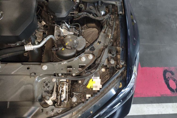 Used BMW 3 Series 2023 325i M Sport Night Edition Package Engine Bay Left