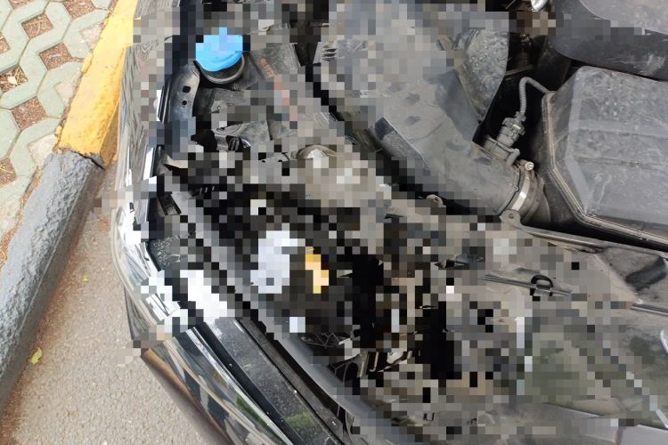 Used BMW 3 Series 2023 325Li M Sport Package Engine Bay Right