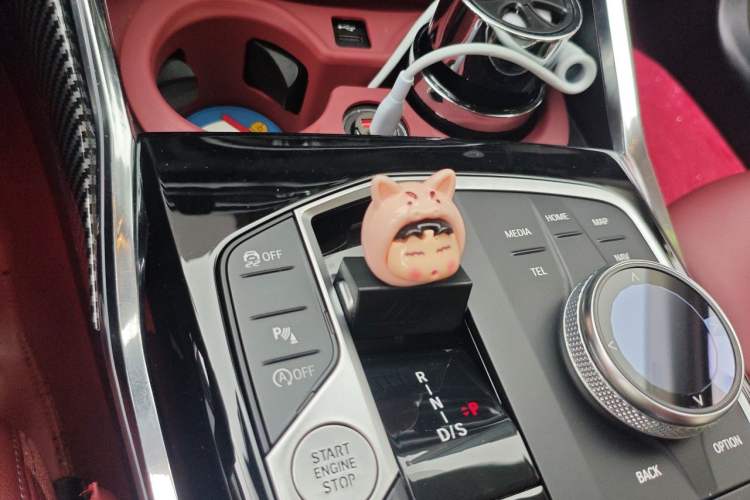 Used BMW 3 Series 2023 320Li M Sport Package Gear Lever