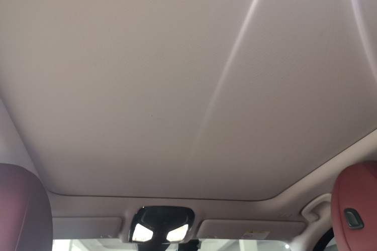 Used BMW 3 Series 2023 325Li M Sport Night Edition Package Headliner