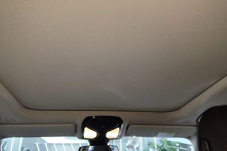 Used BMW 3 Series 2023 325Li M Sport Package Headliner