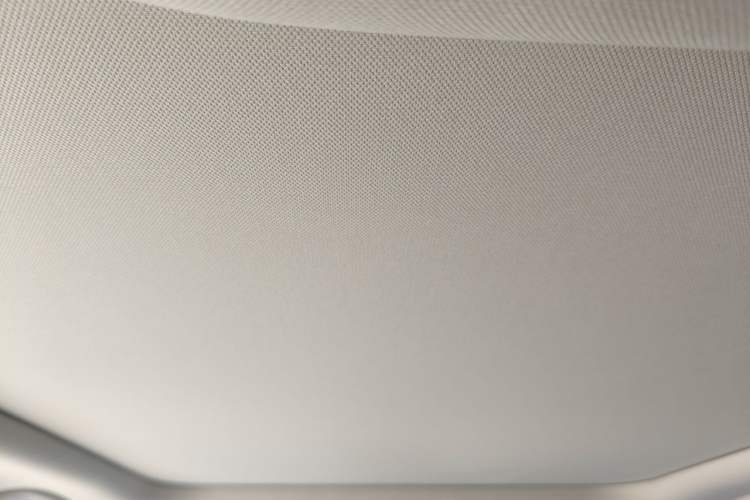 Used BMW 3 Series 2023 320Li M Sport Package Headliner