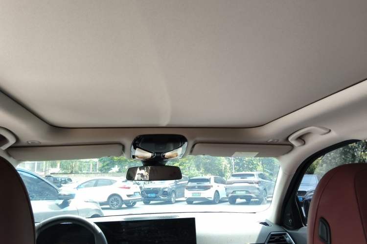 Used BMW 3 Series 2023 325Li M Sport Night Edition Package Headliner