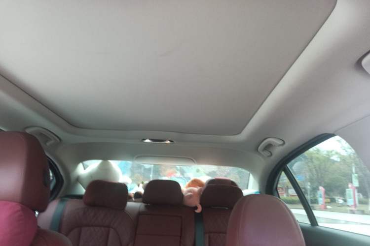 Used BMW 3 Series 2023 325Li M Sport Night Edition Package Headliner