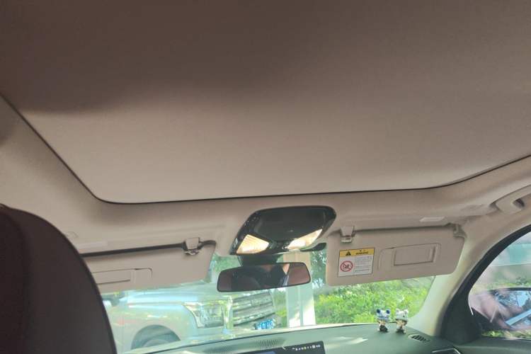Used BMW 3 Series 2023 325Li M Sport Package Headliner