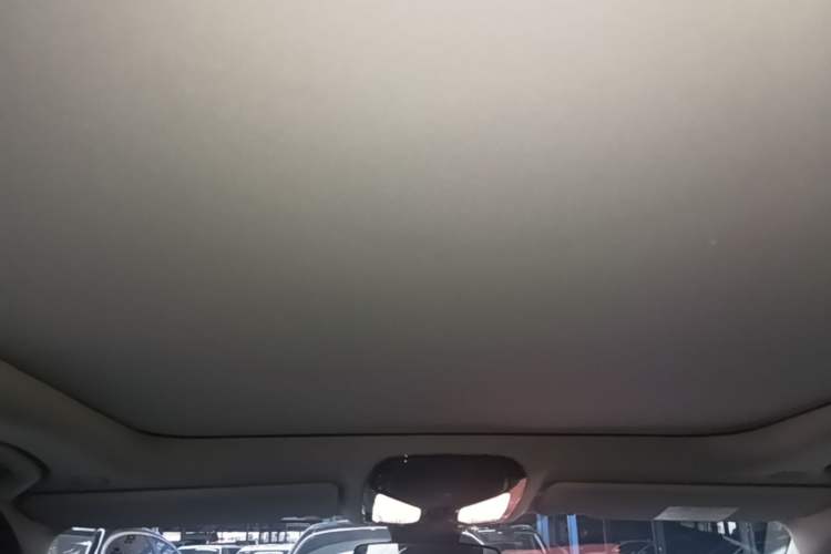 Used BMW 3 Series 2023 325Li M Sport Package Headliner