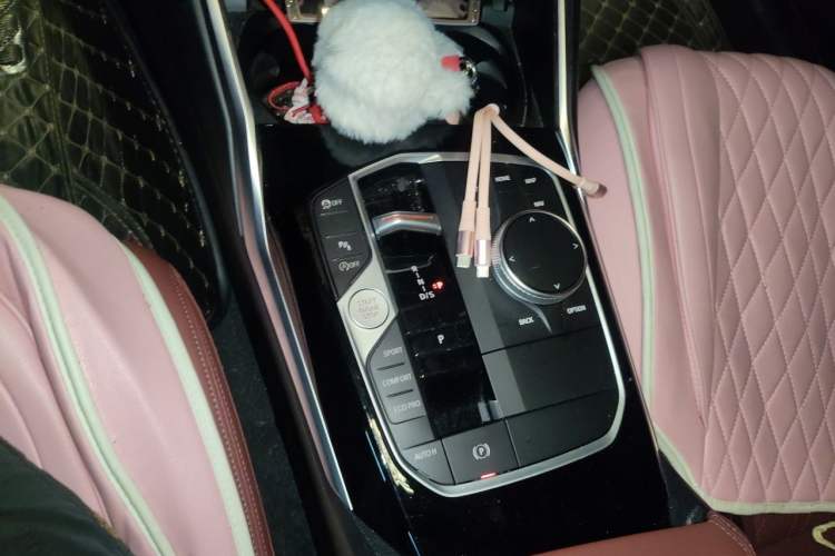 Used BMW 3 Series 2023 320Li M Sport Package Gear Lever