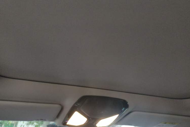 Used BMW 3 Series 2023 320Li M Sport Package Headliner