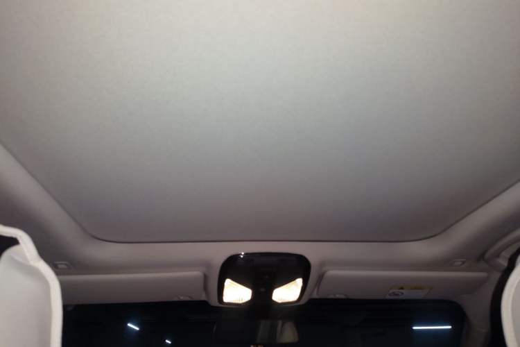 Used BMW 3 Series 2023 320Li M Sport Package Headliner