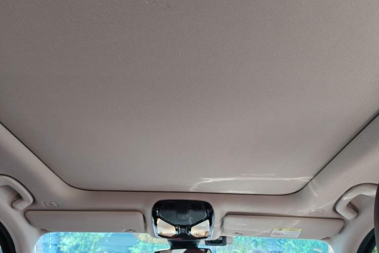 Used BMW 3 Series 2023 325Li M Sport Package Headliner
