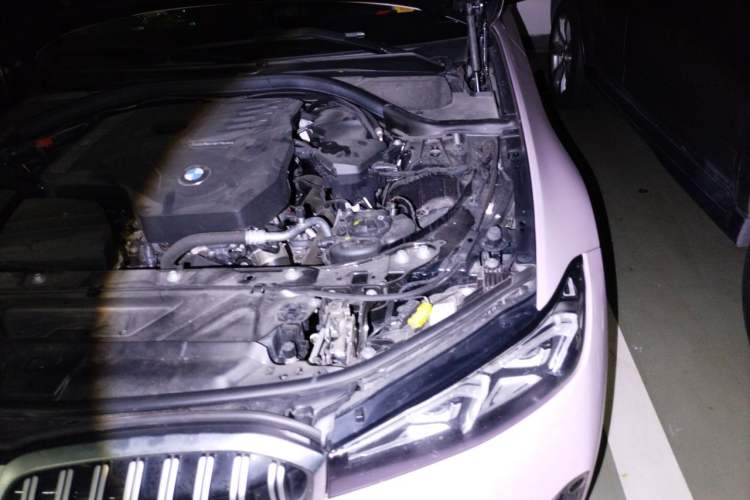 Used BMW 3 Series 2023 320Li M Sport Package Engine Bay Left
