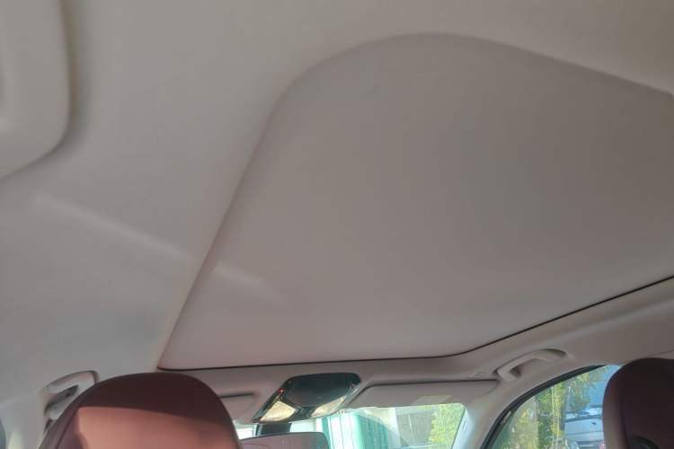 Used BMW 3 Series 2023 320Li M Sport Package Headliner