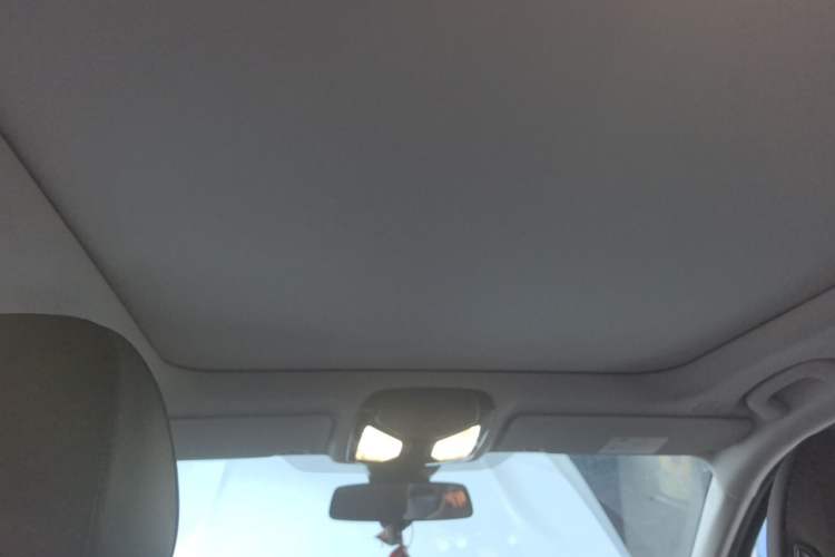 Used BMW 3 Series 2023 325Li M Sport Package Headliner