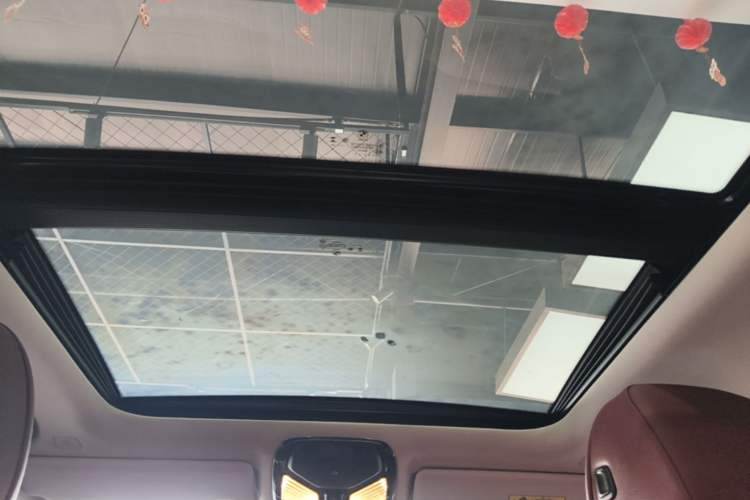 Used BMW 3 Series 2023 325Li M Sport Package Headliner