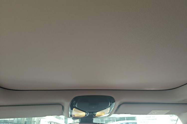 Used BMW 3 Series 2023 320Li M Sport Package Headliner