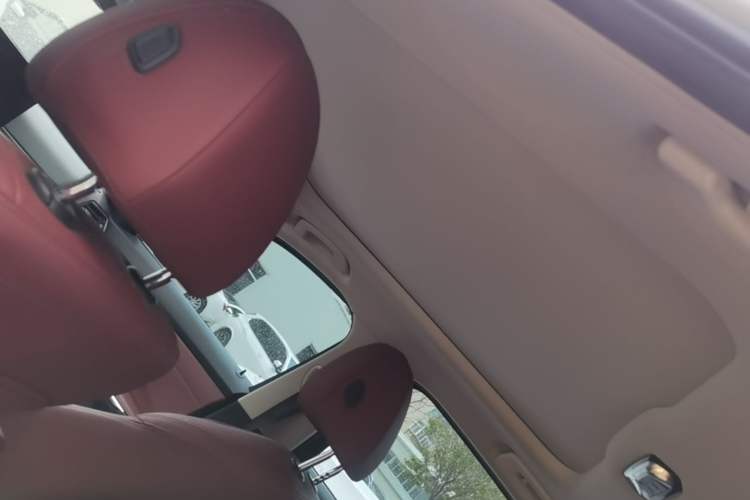Used BMW 3 Series 2023 325Li M Sport Package Headliner