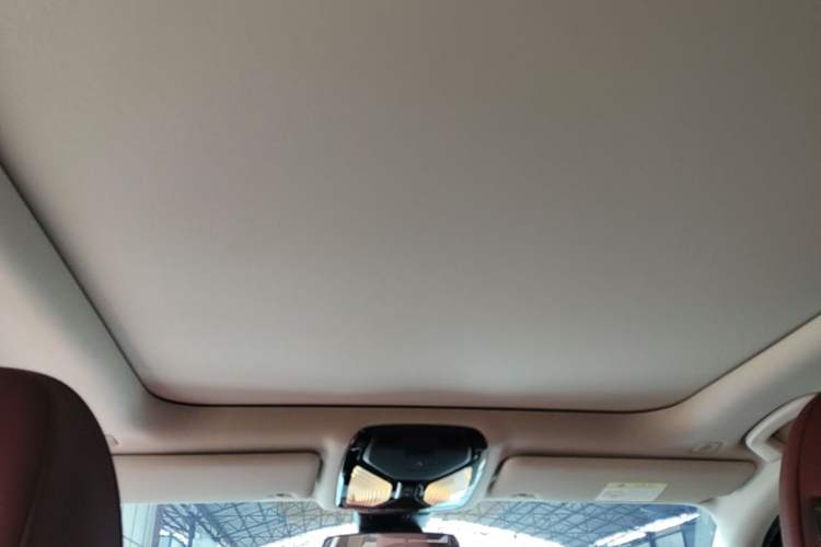 Used BMW 3 Series 2023 325Li M Sport Package Headliner