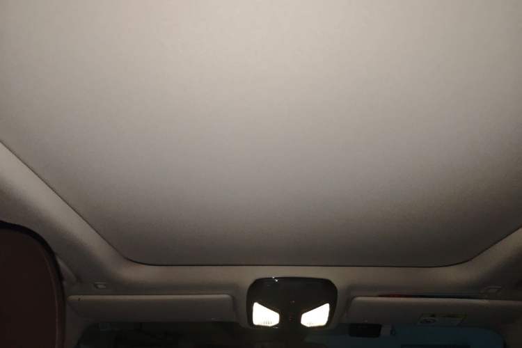 Used BMW 3 Series 2023 320Li M Sport Package Headliner