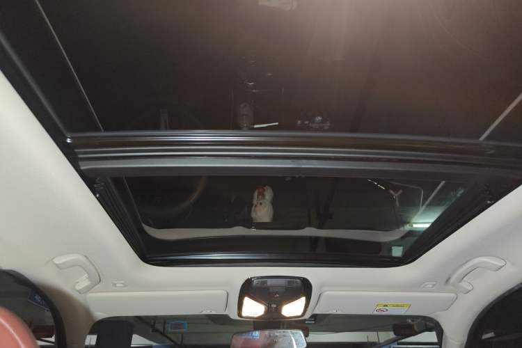 Used BMW 3 Series 2023 320Li M Sport Package Headliner