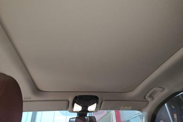 Used BMW 3 Series 2023 320Li M Sport Package Headliner
