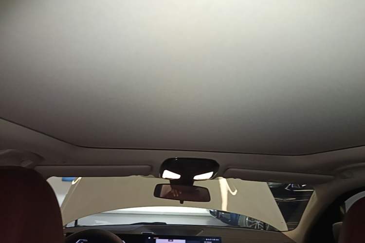 Used BMW 3 Series 2023 325Li M Sport Package Headliner